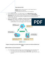 Cell Differentiation and Specialized Cells