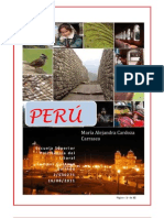 Peru Tarea de Herramientas(1)