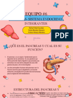 Pancreas Exposición