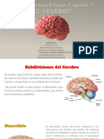 CEREBRO