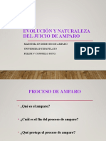 Antecedentes Del Proceso de Amparo