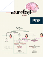 Neuro Map - Dr. Uswa 6 PDF