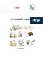 Reproducción de Plantas