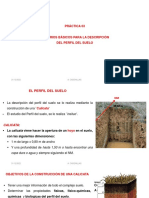 Edafo-Conser-Practica 03 - Perfil Del Suelo 2022-Ii PDF