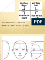 Indice Cpod y Ceo Dental