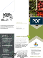 Verde y Blanco Plantas Ciencia Folleto PDF