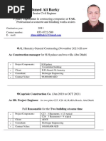 Sample Project Work Experience Pdf