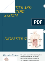 Digestive and Excretory System