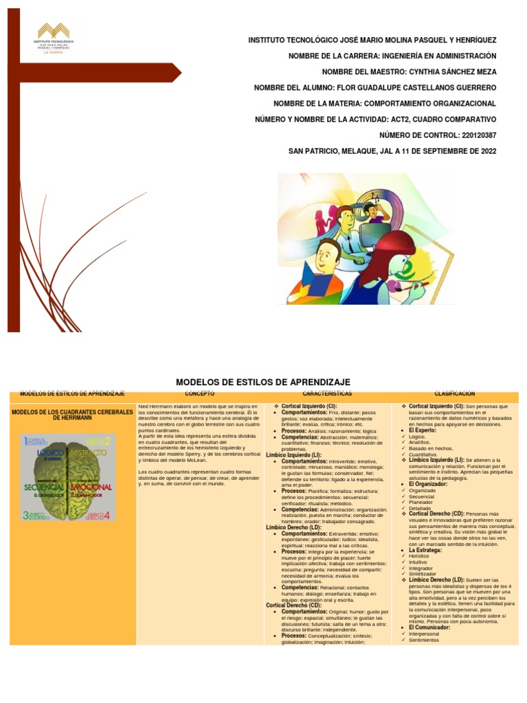 Modelos de Estilos de Aprendizaje | PDF | Hemisferio cerebral | Aprendizaje