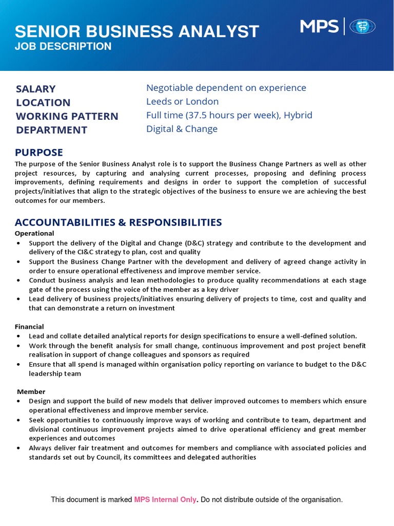 Job Description Senior Business Analyst PDF Risk Policy