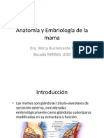 Anatomía y embriología de la mama