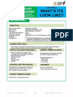 MODUL 4 Descriptive Text - Kris