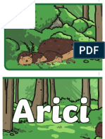 Ro1 T 1669376888 Arici Banner - Ver - 1 PDF