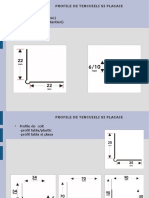 C_12-1_PROFILE DE TENCUIELI SI PLACAJE