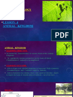 Animal Kingdom Classification