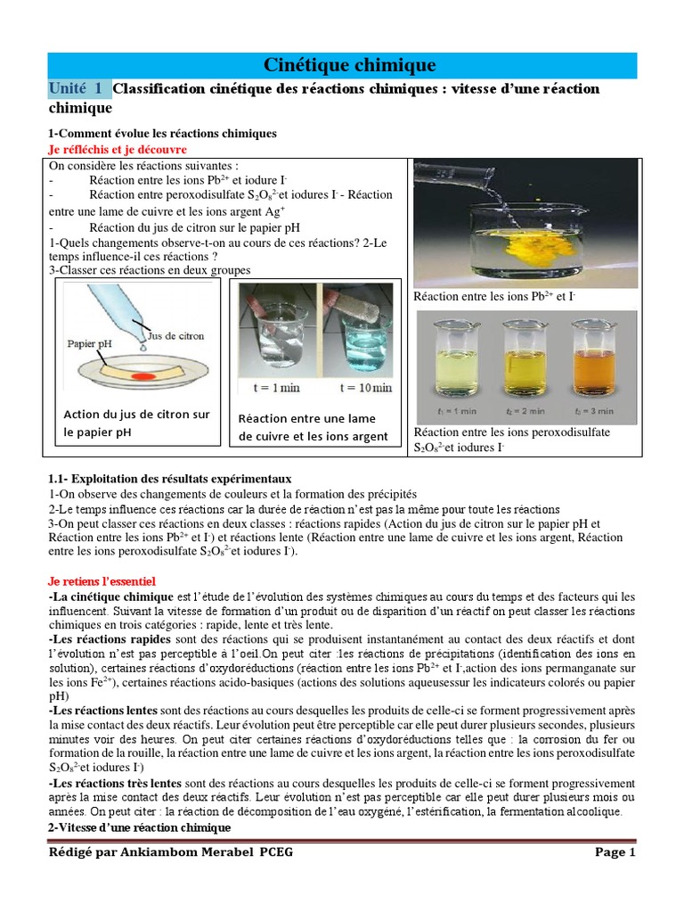 Cinétique Chimique Vitesse des Réactions PDF Catalyse Ester — free download