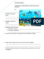 Taller Ecología Factores Bióticos y No Bióticos