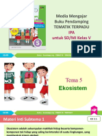 Ipa 5 Ekosistem