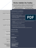 Mi Curriculum PDF