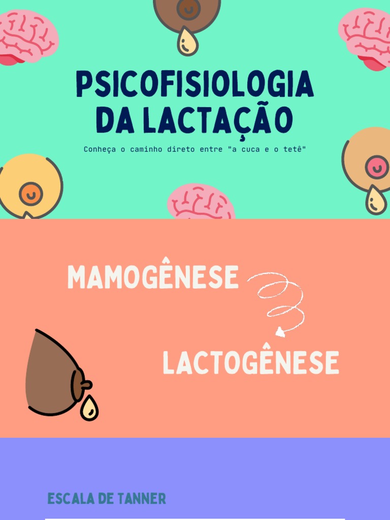 Fisiologia da Lactação e Mamogênese | PDF | Seio | Glândula pituitária