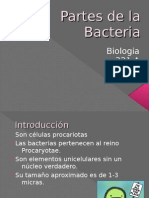 Partes de La Bacteria