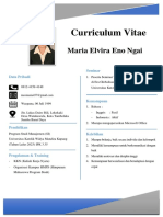 CV Maria Elvira