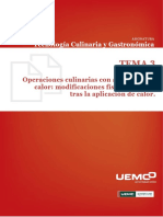 Unidad Didáctica - 3 - OPERACIONES - CULINARIAS - CON - APLICACIÓN - DE - CALOR - 2022 PDF