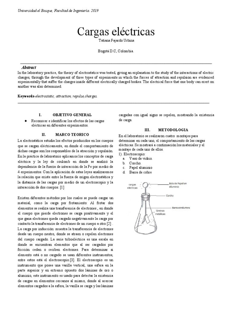 Cargas Electricas PDF Materiales Física teórica