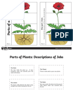 Parts of A Plant Tasks PDF
