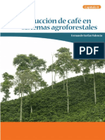Producción Café en Sistemas Agroforestales