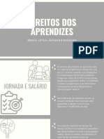 Direitos Dos Aprendizes PDF