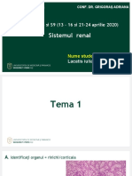 Tema - S8 Si - S9 - MG - RO