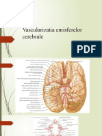 Vascularizatia emisferelor cerebrale