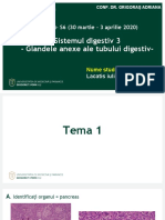 Tema S6 MG RO