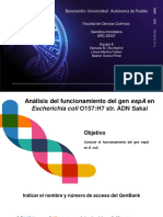 Etapa 1 - Proyecto Final PDF