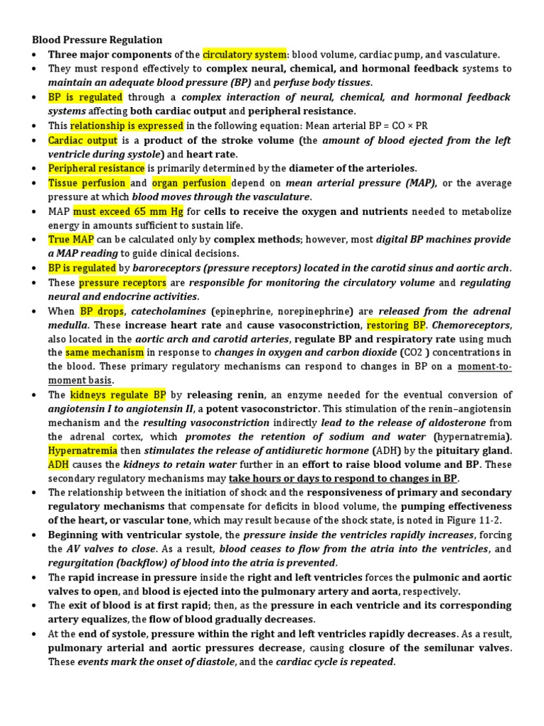 Blood Pressure Regulation PDF Atrium (Heart) Diastole