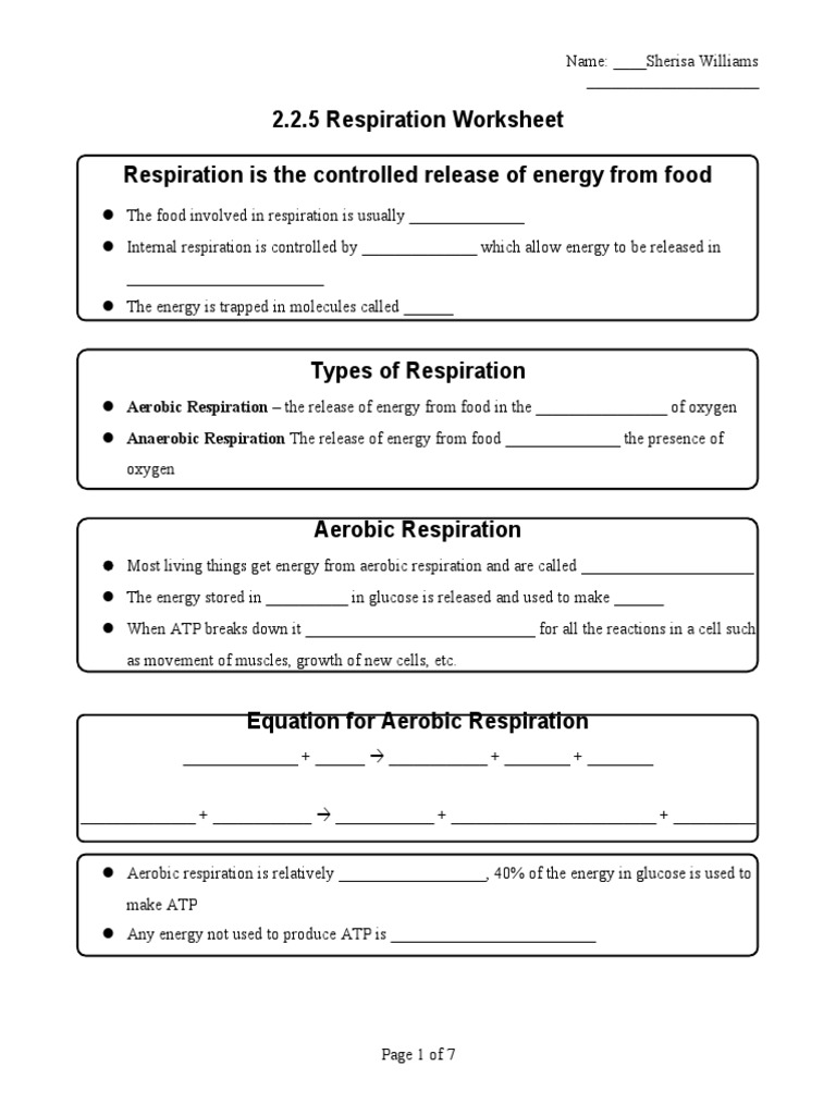 Biology Respiration Worksheet | PDF | Cellular Respiration | Fermentation