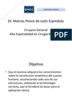 Planos anatómicos, tipos de hueso y articulaciones