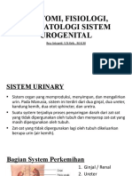 Anatomi, Fisiologi, Dan Patologi Sistem Urogenital