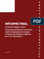 Informe-Final-Indigena Ministerio de Educacion