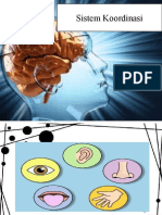 Sistem Koordinasi
