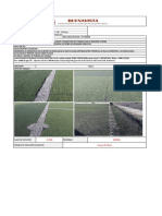 Requerimiento Grass PDF