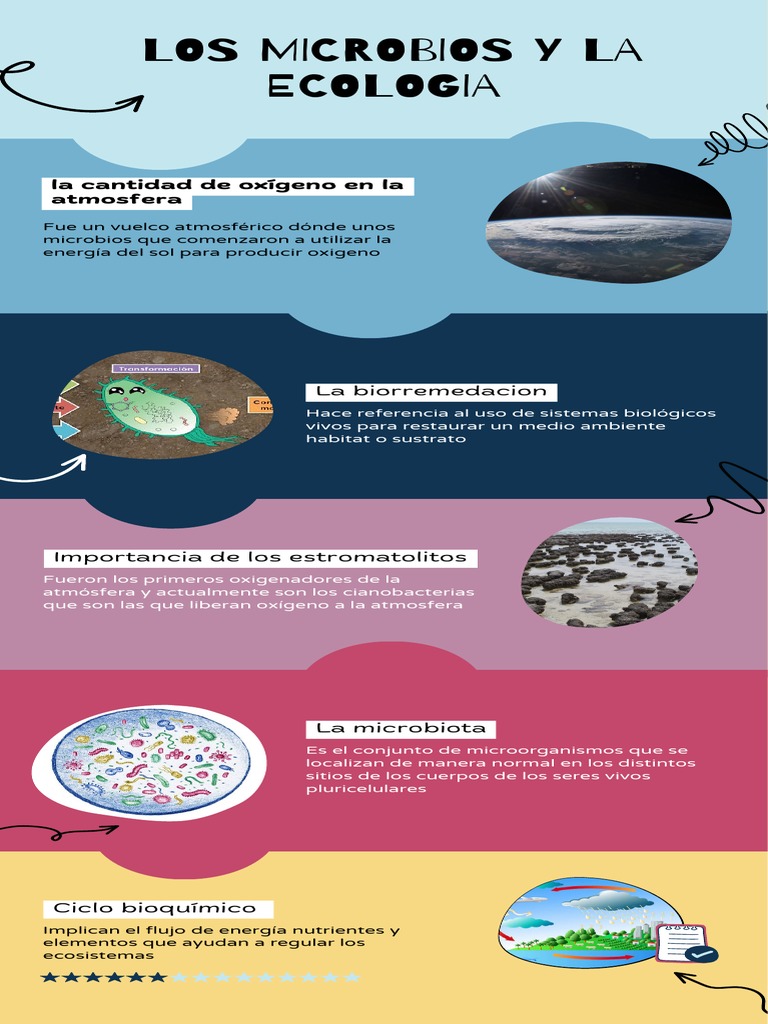 Microbios y su Impacto en la Ecología | PDF | Salud y bienestar ...