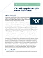 Mapping_Public_Benefits_Spanish_Overview