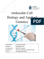Assignment Molecular-Cell-Biology-Applied-Genetics