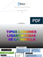 Tipos Lesiones Ligamentosas de Rodilla 255282 Downloable 1046487 PDF