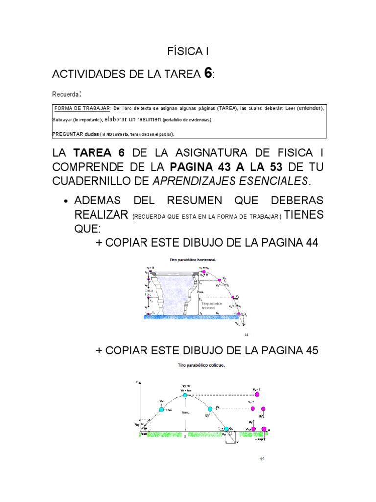 Tarea 6 Física I: Resúmenes y Ejercicios | PDF