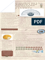 Infografia de Determiantes Sociales de La Salud