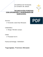 Proceso de Ejecucion Forzosa.