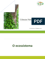 Estrutura e Funcionamento Dos Ecossistemas